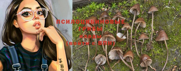 герыч Алексеевка