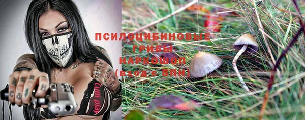 ECSTASY Алексин