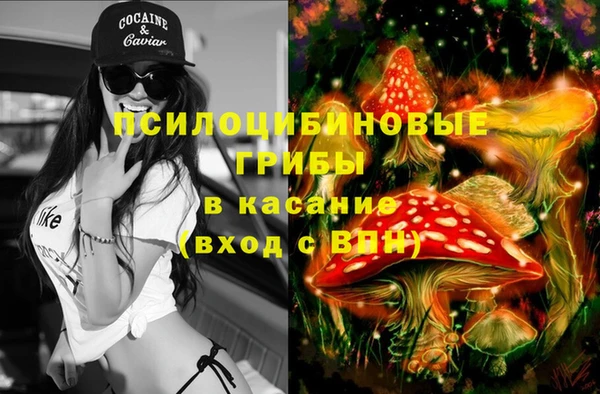 ECSTASY Алексин