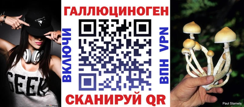 Псилоцибиновые грибы Cubensis  Трёхгорный 